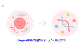 严肃活泼、有爱有趣的Wegene基因检测服务体验，重新解码自我（女生版）