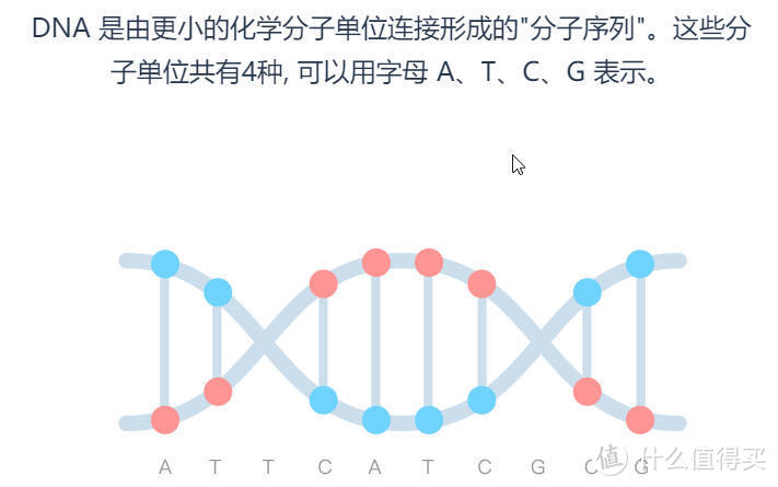 严肃活泼、有爱有趣的Wegene基因检测服务体验，重新解码自我（女生版）