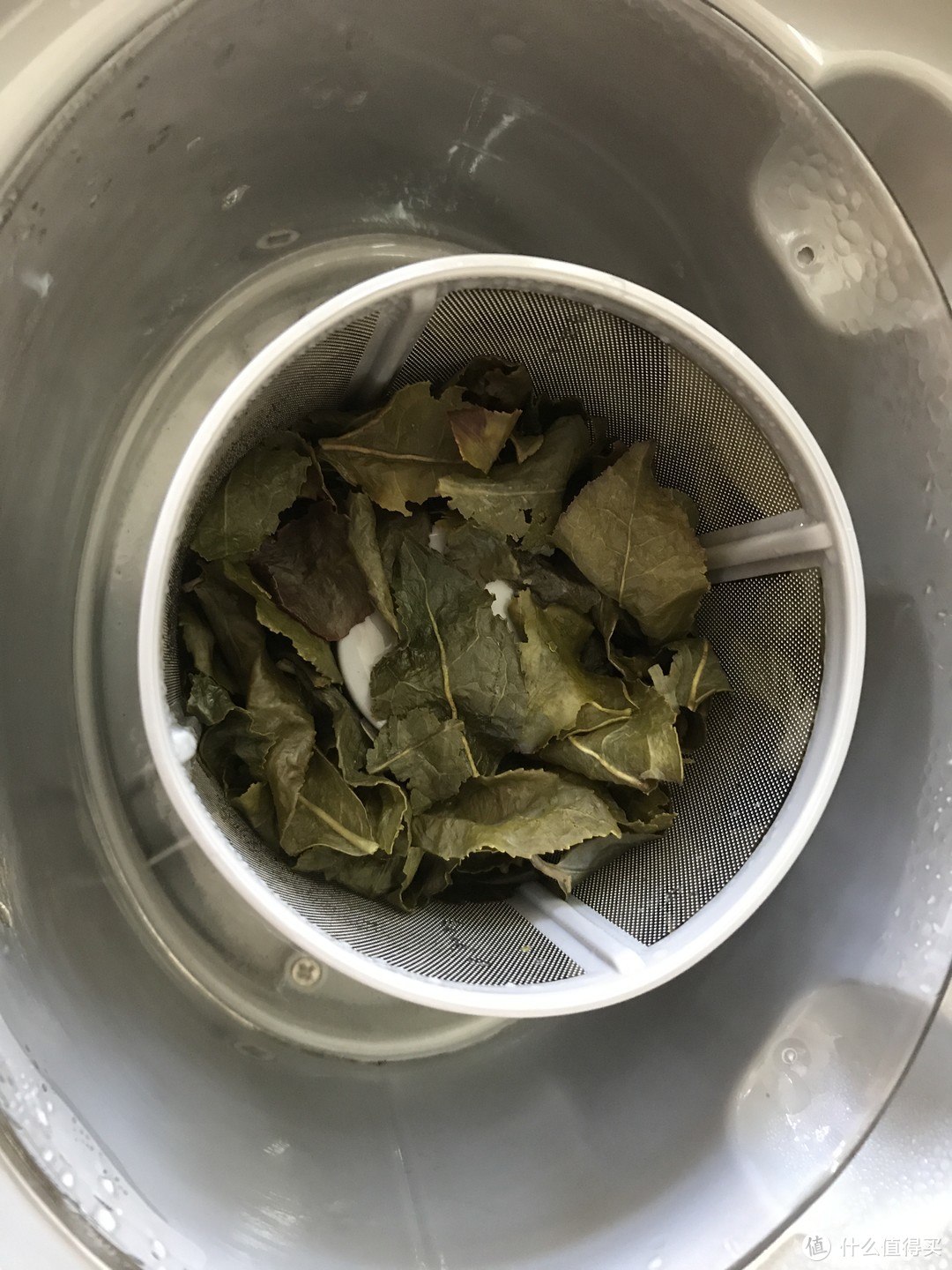 从欧思嘉泡茶机浅谈身边的饮茶现象