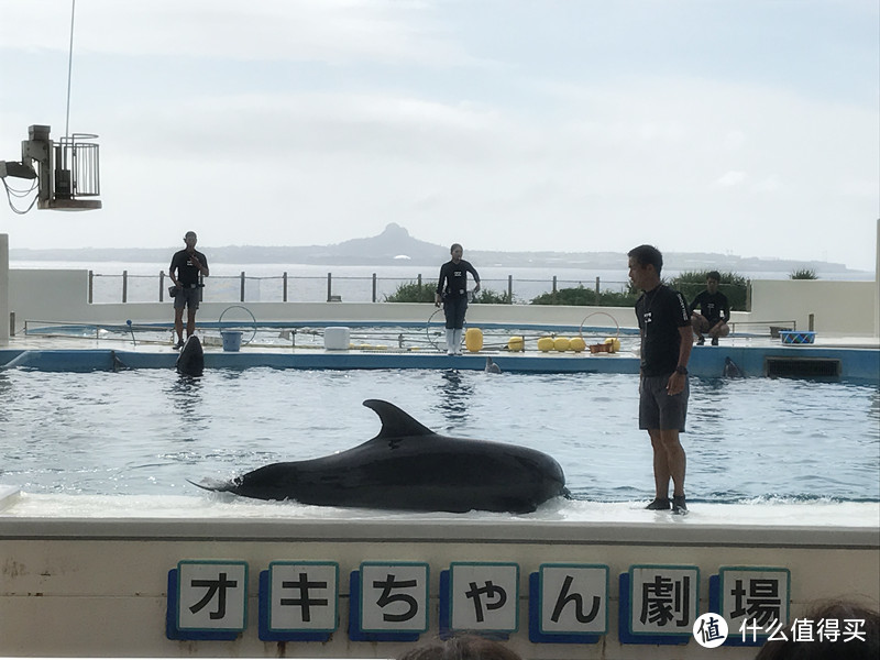 记第四次日本旅行日志—冲绳