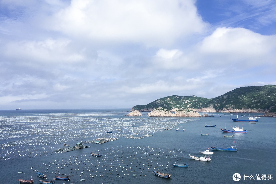 #原创新人#极海之东—枸杞岛游记