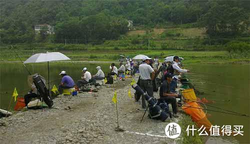 漫漫钓鱼路，犹如西天取经:记录自己黑坑垂钓之路