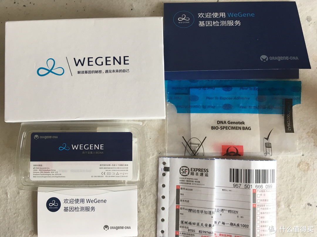 这是我的WeGene报告，你的肯定完全不同