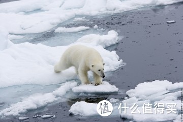 《旅行家》第3期：小小值被逼裸奔在北极？不如先收下这份北极游攻略！