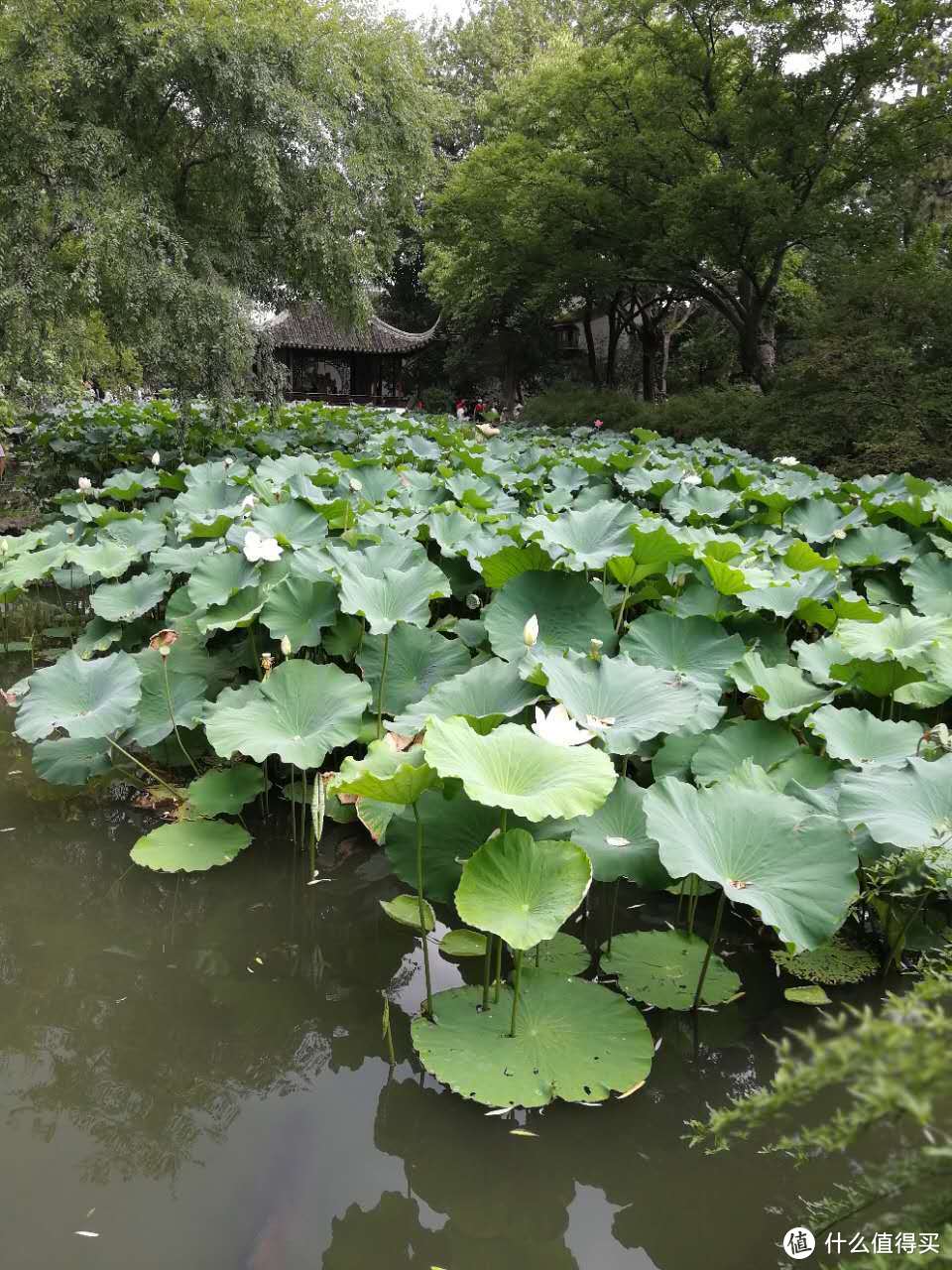 荣耀 9众测报告