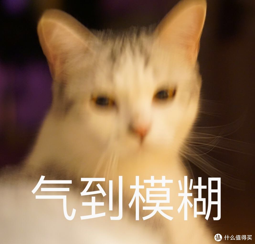 铲屎官从此失业——贝适安ScoopFree豪华版自洁式猫砂盆