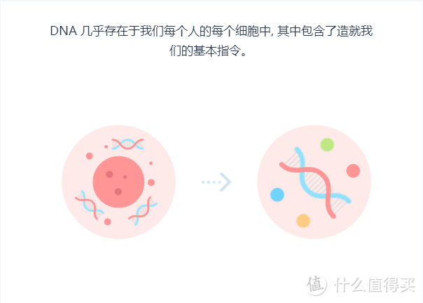 从唾液中探索自身奥秘-WeGene个人基因检测与分析平台