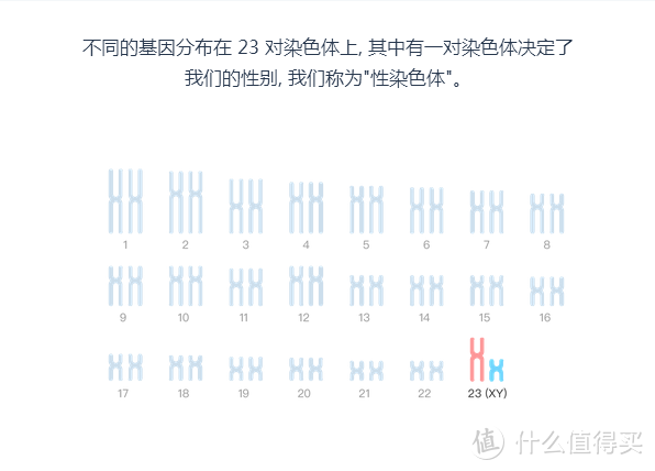 从唾液中探索自身奥秘-WeGene个人基因检测与分析平台