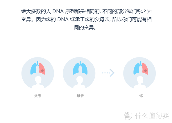 从唾液中探索自身奥秘-WeGene个人基因检测与分析平台