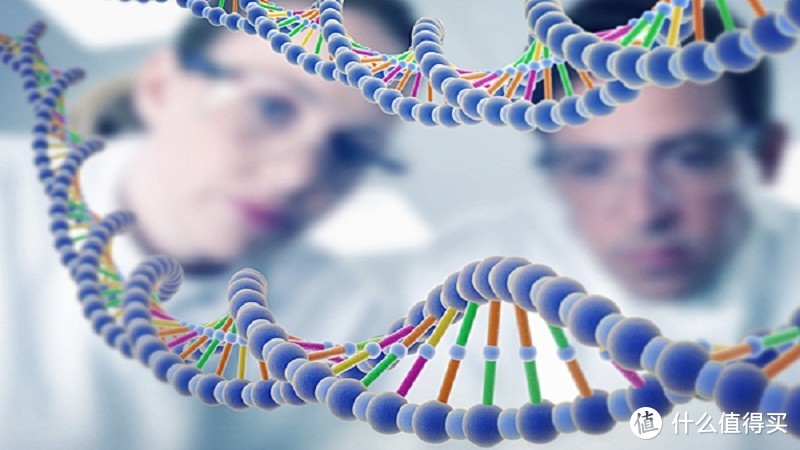 一次忐忑而新奇的体验：WeGene基因检测体验