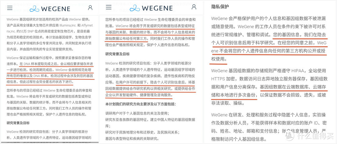 从源头看未来-WeGene基因检测评测报告