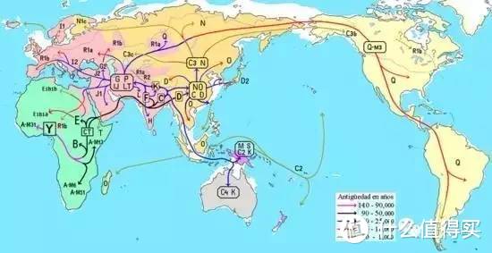 我们是谁 从何而来  --满足求知欲的自我检视 众测WeGene检测兼23魔方对比