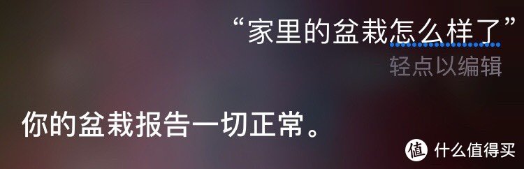 Hey, Siri 我的花怎么样了 — 花花草草监测仪大改造