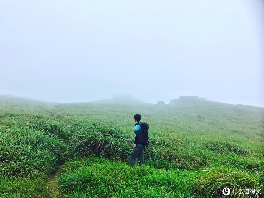 山海盟于下，行者歌于上之大屿山凤凰径