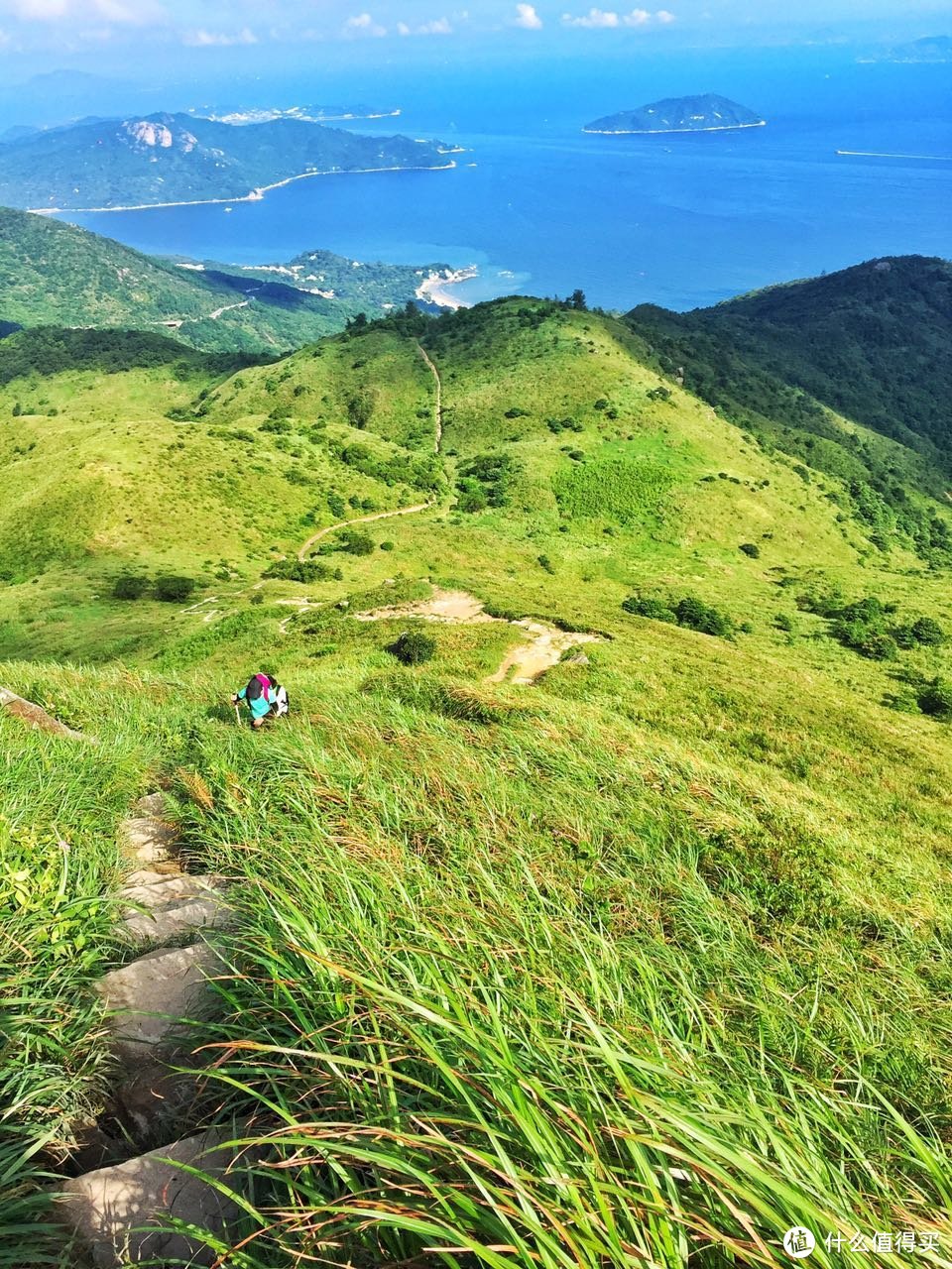 山海盟于下，行者歌于上之大屿山凤凰径