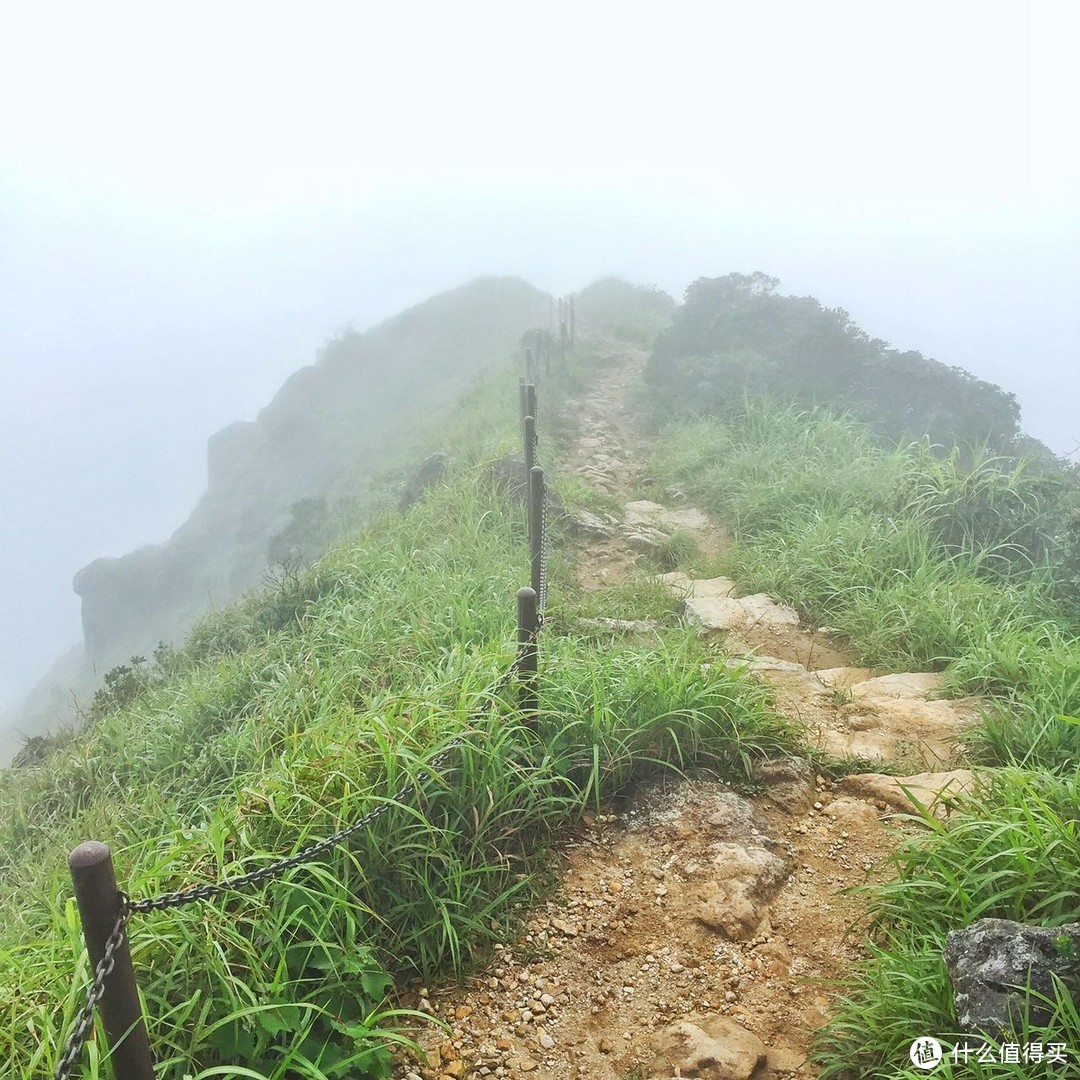 山海盟于下，行者歌于上之大屿山凤凰径