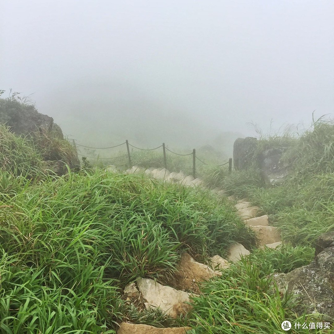 山海盟于下，行者歌于上之大屿山凤凰径