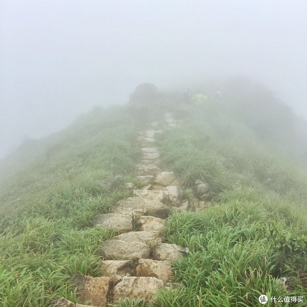 山海盟于下，行者歌于上之大屿山凤凰径