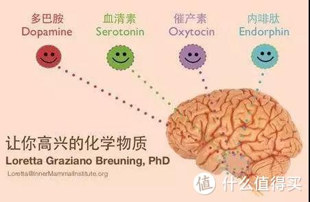 倡导不吃主食的减肥名人，他们的偏方饮食法真的靠谱吗？