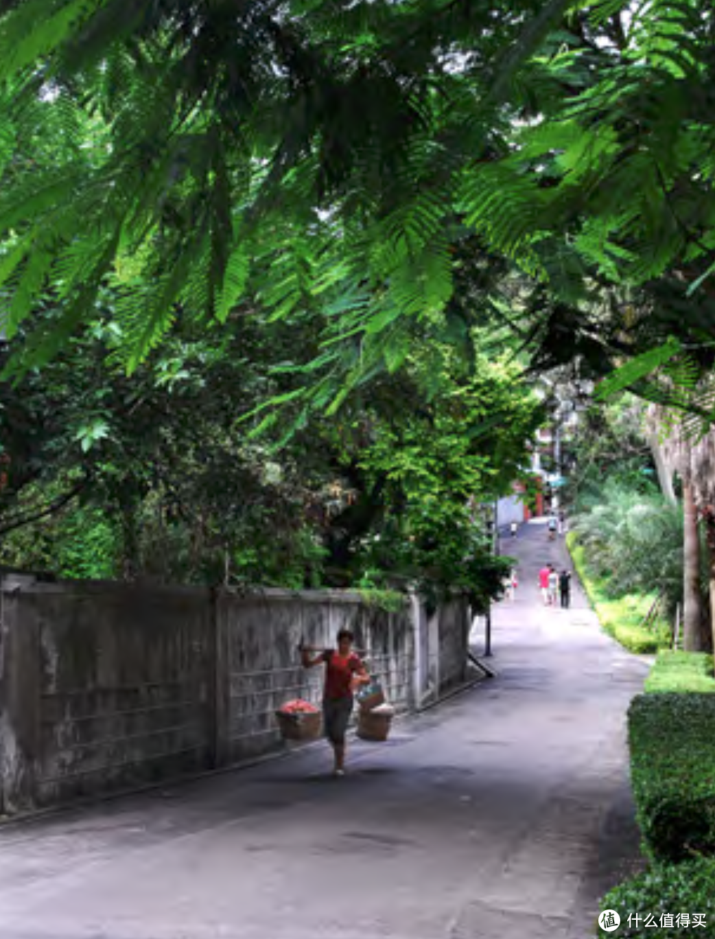 你知道的鼓浪屿，你不知道的“鼓浪屿”