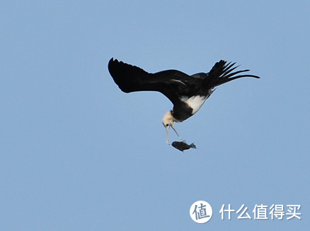 【旅游攻略】玩转加拉帕戈斯不完全攻略！你最关心的路线、住宿问题都在这了…