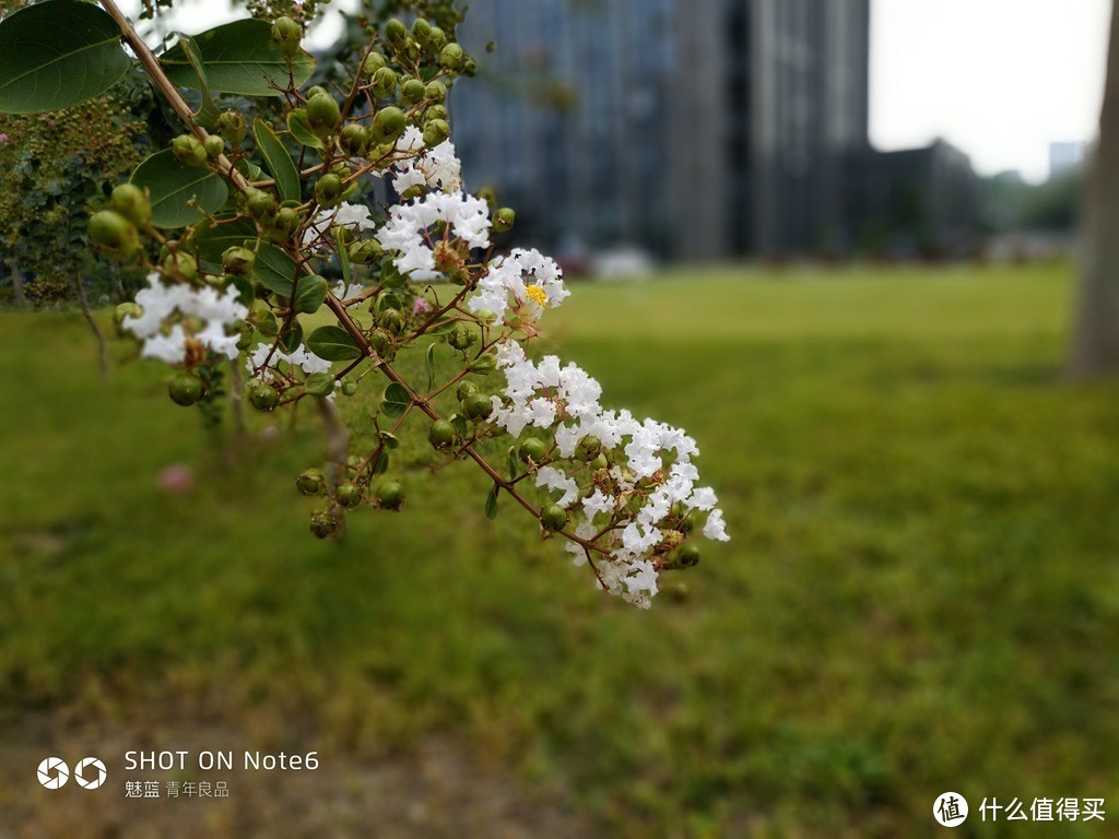 “讲真” 这可能才是魅族真旗舰！ 魅蓝Note6顶配评测报告，兼谈2017年开学季手机选购指南