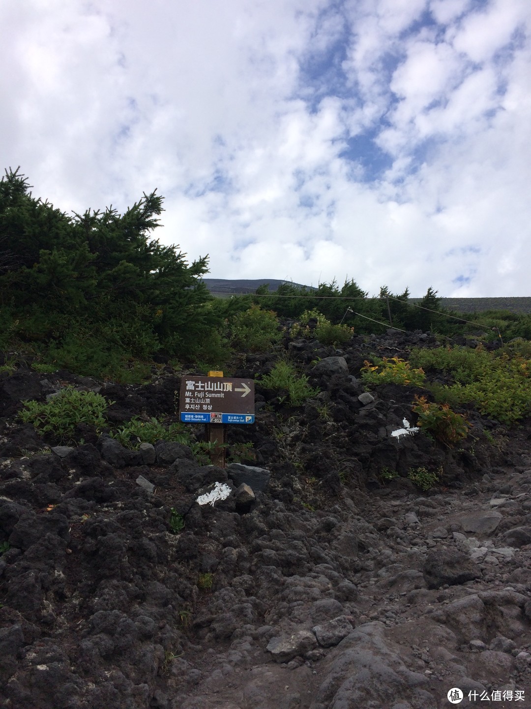 #原创新人#日本名古屋—伊豆半岛—富士山之行