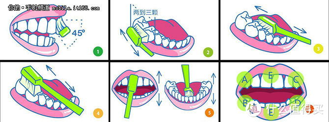 牙好才能胃口好—谈谈我的初阶口腔护理