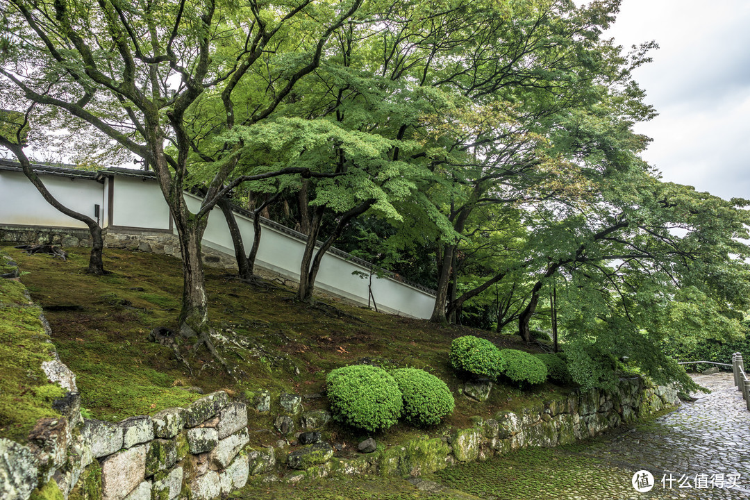 追着台风跑得关西两日游（京都为主）