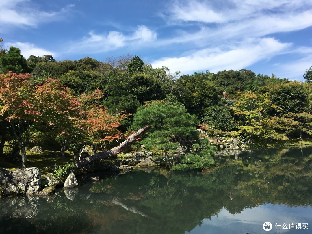 京都最后一部分-----岚山地区