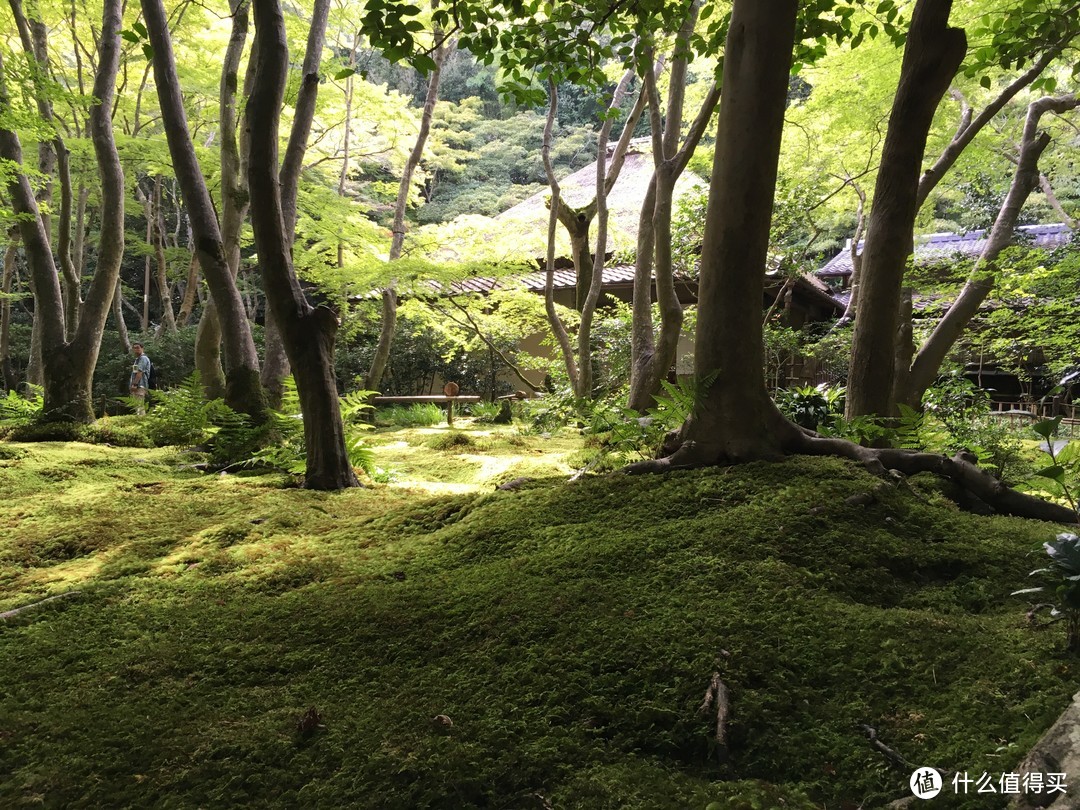 京都最后一部分-----岚山地区