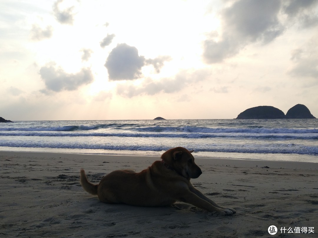 户外菜鸟一个人3天2夜香港塔门岛+麦理浩径二段咸田湾露营游记