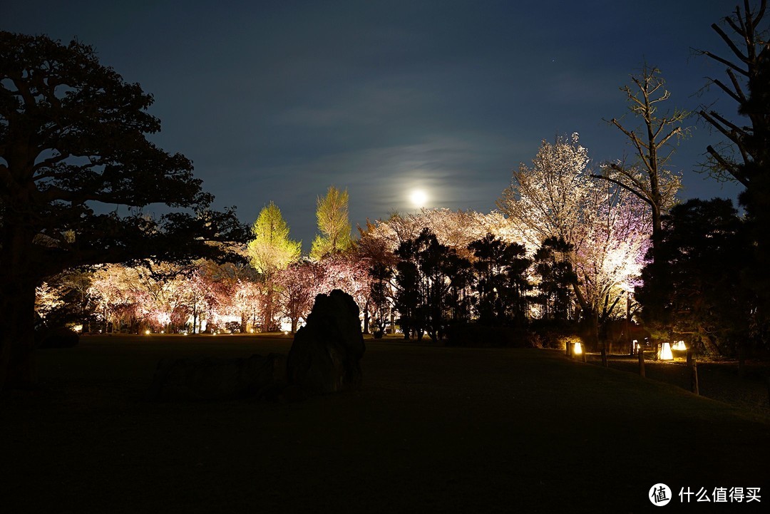 一路寻芳·自东向西15天完整体验日本樱花季（上篇）