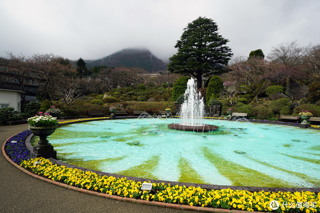 一路寻芳·自东向西15天完整体验日本樱花季（上篇）