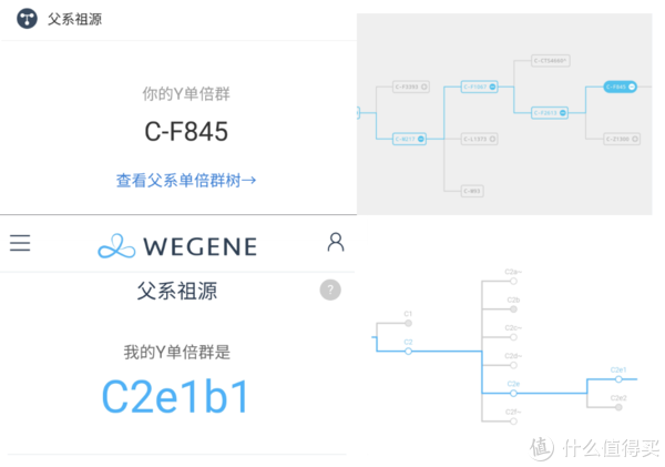 探索基因检测的奥秘--23魔方基因检测全方位解