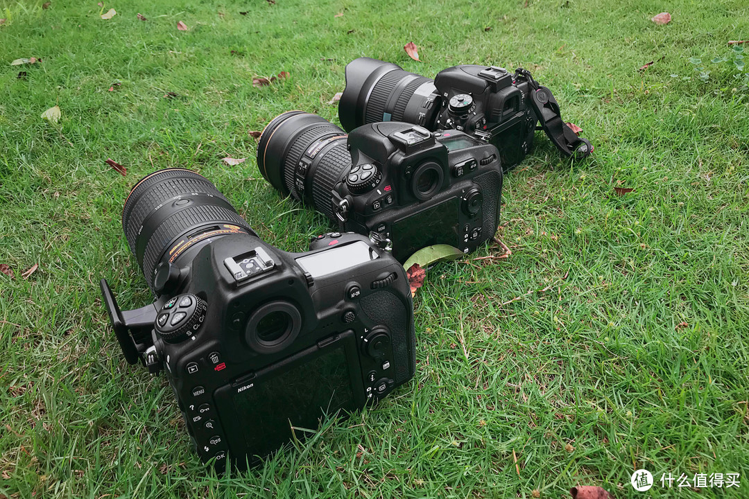 NIkon D850 全画幅三代同堂 — 实力一战，300+图片实测，100分的高速高画质单反！