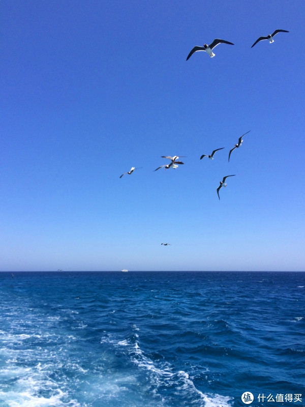 埃及经典8日跟团游游记 | 跟团去埃及值不值_埃