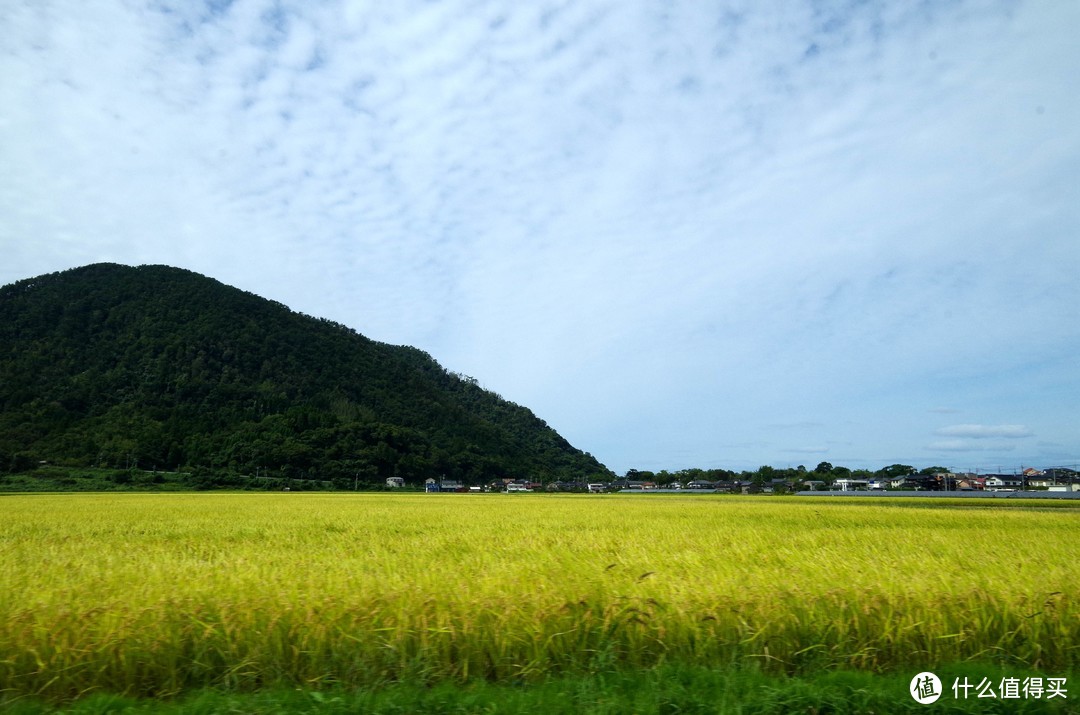 鸟取县二日游（利用外国人优惠薅羊毛+柯南小镇圣地巡礼）