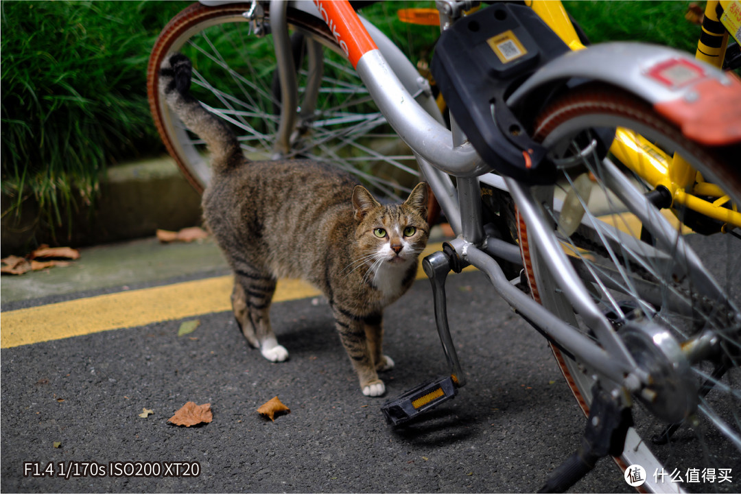 绕不过去的原点，富士XF35mm F1.4使用感受