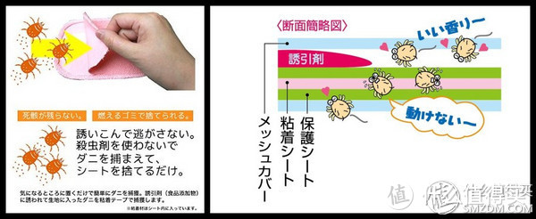 #热征#要干净#秋季除螨正当时 — 家庭日常除螨清洁分享