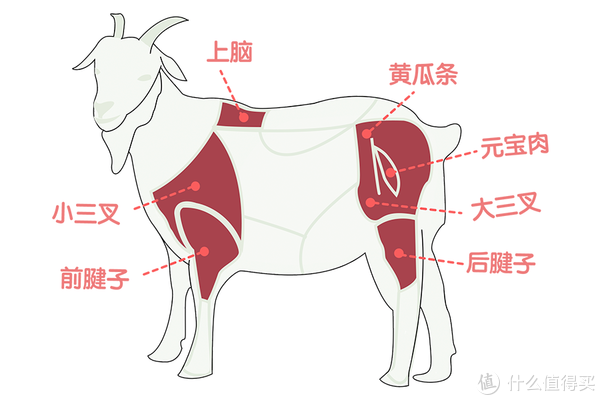 羊前腿和后腿的区别图图片