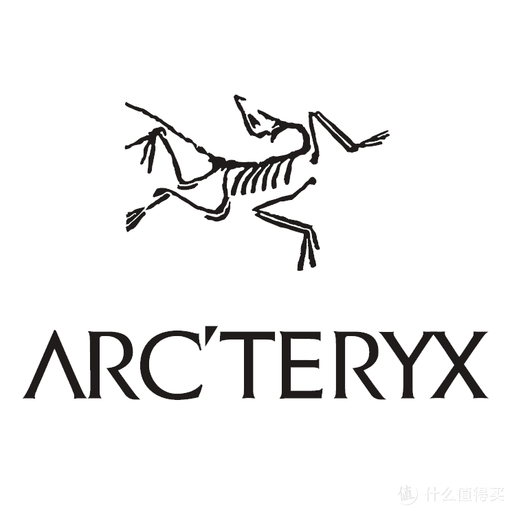 关于始祖鸟Arcteryx Cerium LT Hoody羽绒服， 你想知道的都在这里了