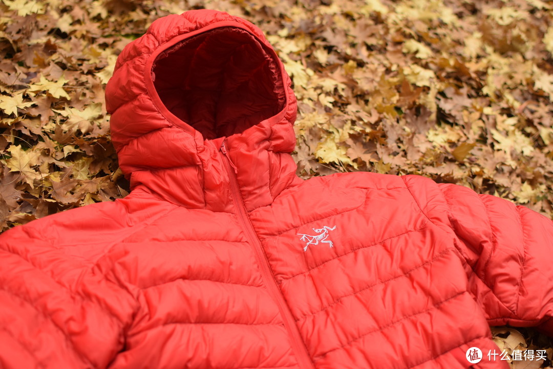 关于始祖鸟Arcteryx Cerium LT Hoody羽绒服， 你想知道的都在这里了