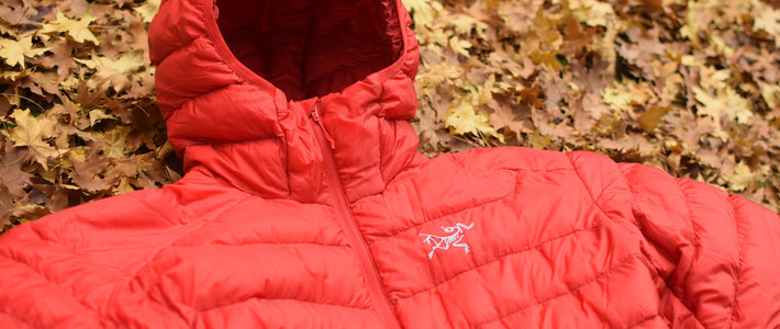 【始祖鸟】始祖鸟官网商城_ARC'TERYX是什么牌子