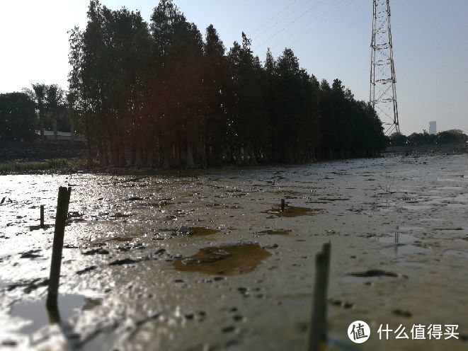 #原创新人# 广州周边的小岛—大吉沙游记