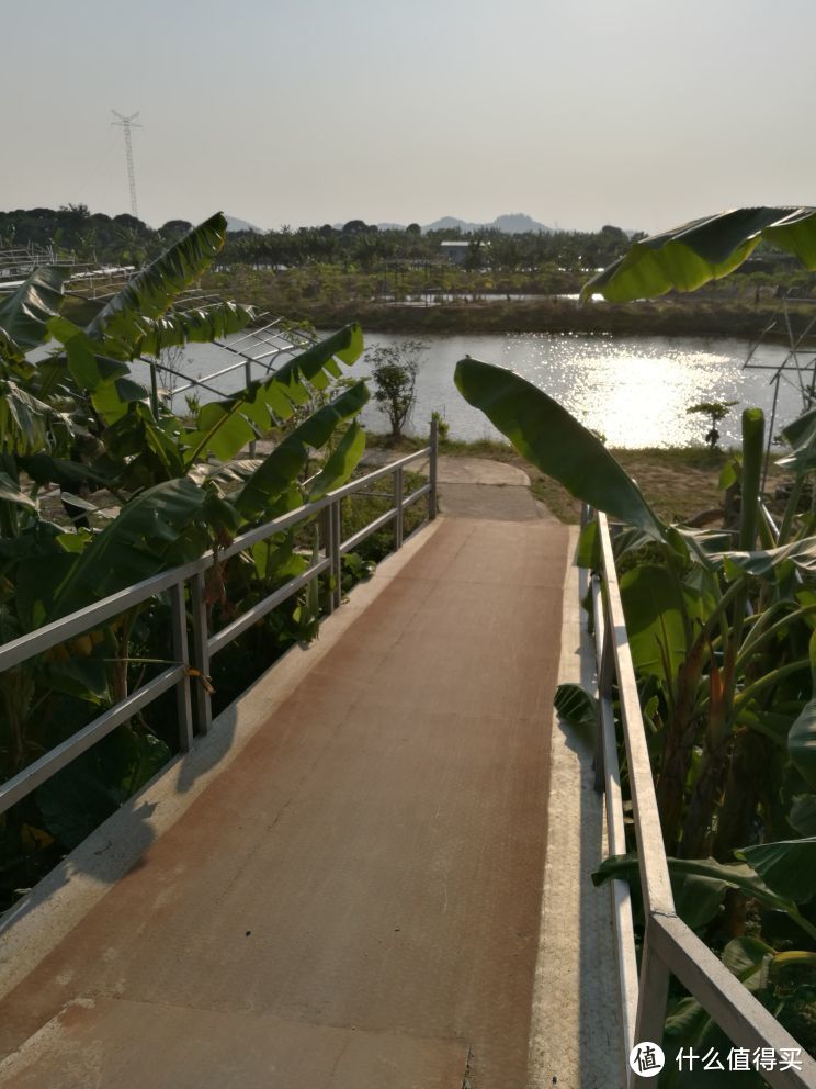 #原创新人# 广州周边的小岛—大吉沙游记