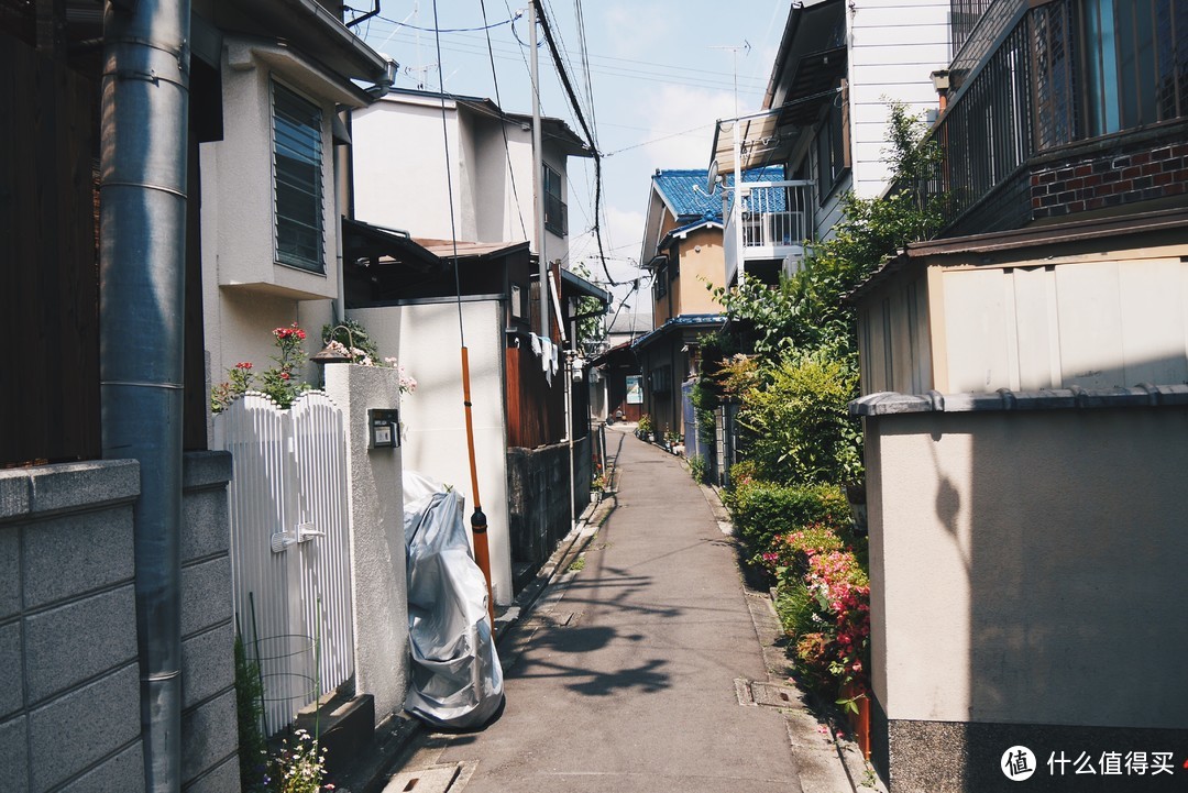 两次日本亲子游——东京周边、迪士尼、河口湖、大阪、京都、伊东