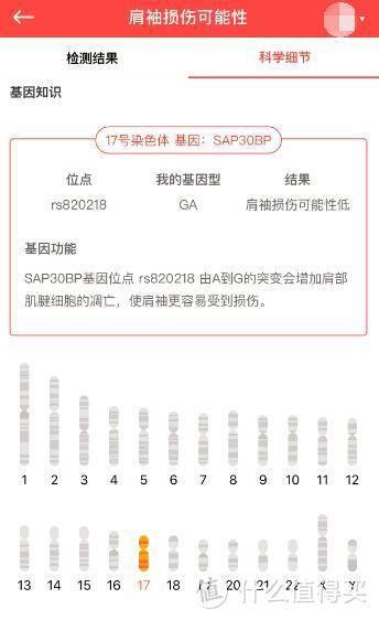 其实只想知道我是不是干将的后人——23魔方基因检测体验