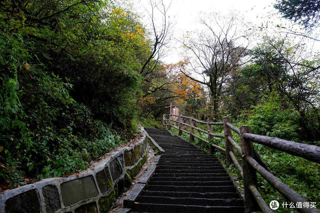 秋意浓，一起来看峨眉360°无死角美颜——记峨眉山两日游