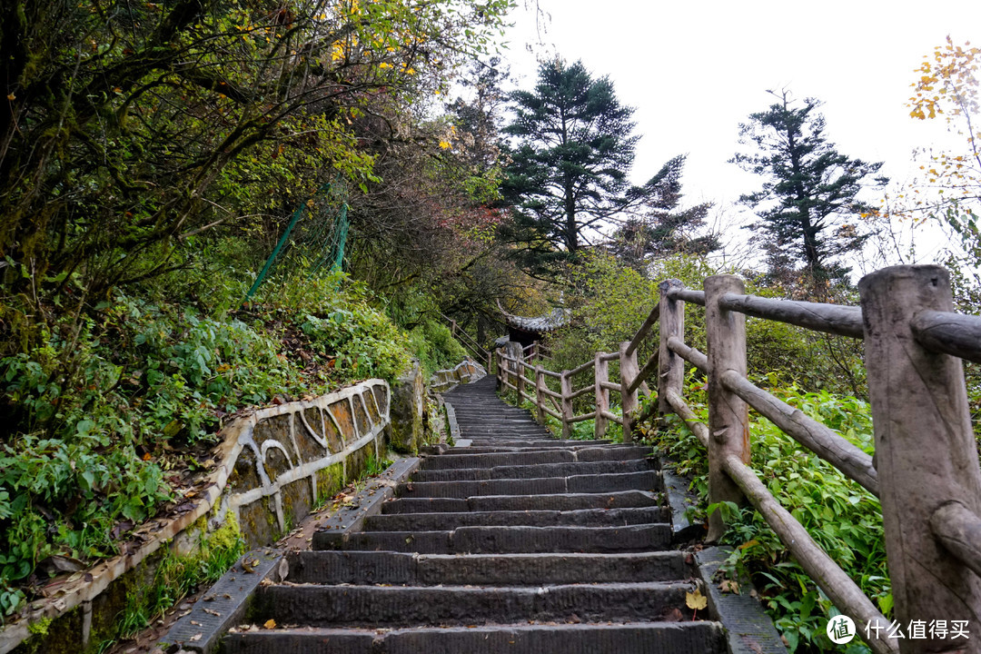 秋意浓，一起来看峨眉360°无死角美颜——记峨眉山两日游